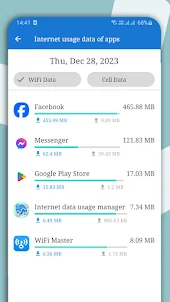 Data usage manager