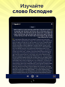 Скриншот