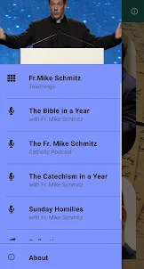 Fr.Mike Schmitz Teachings