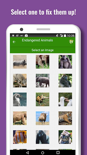 Screenshot of Endangered Animals Offline App