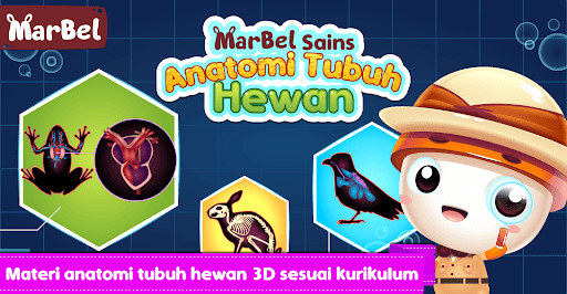 Android application Marbel Anatomi Hewan SD 5 screenshort