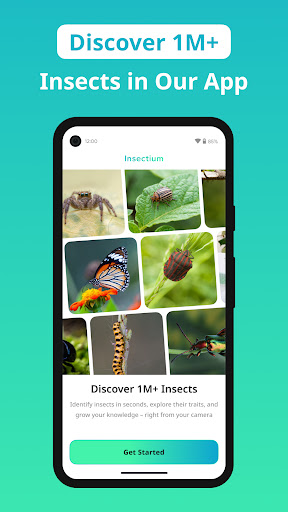 Insect Identifier - Insectium