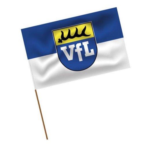 VfL Kirchheim/Teck logo