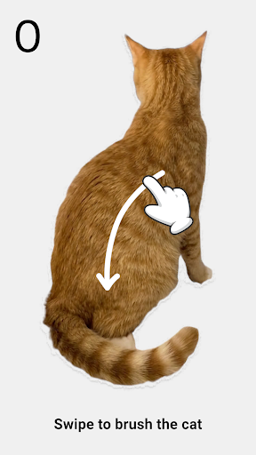 Brush The Cat