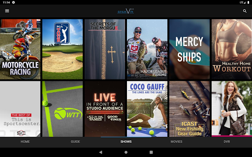Screenshot of Open View TV