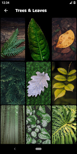 10000 Nature HD Wallpapers Screen 3