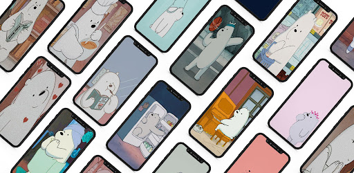 Polar Bear Cute Wallpaper