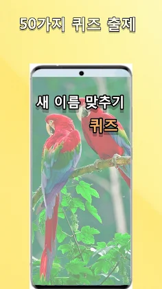 새 이름 맞추기 퀴즈 - Screenshot 1