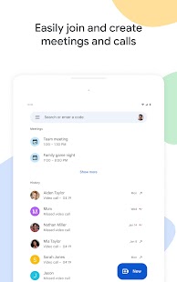 Google Meet Screenshot