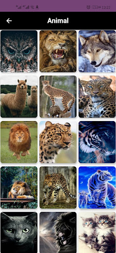 wallpapers for Android 2021