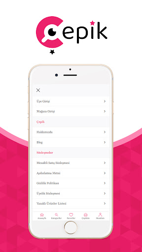 Cepik Screen 3
