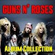 Guns N' Roses Album Collection Download on Windows