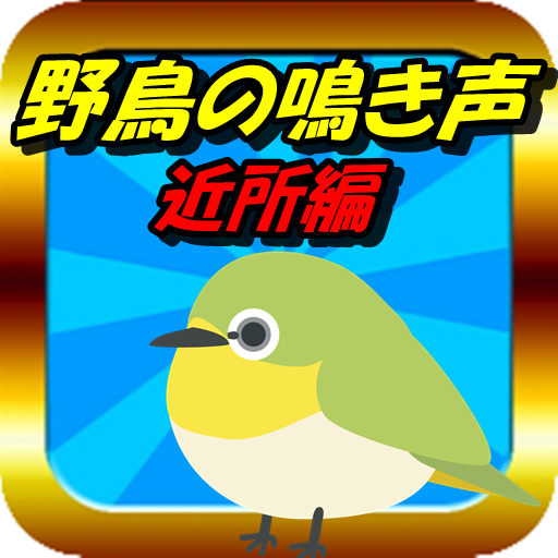野鳥鳴き声 鳥の雑学クイズ バードウォッチング アウトドアのおとも 自然観察 برنامه ها در Google Play