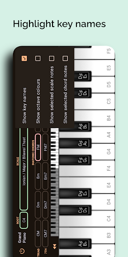 Grand Piano and Keyboard Screen 2