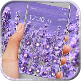 Spring purple lavender icon