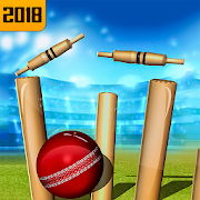 Top 45 Arcade Apps Like Top Cricket Ball Slope Game - Best Alternatives