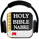 NABRE Bible Offline Audio