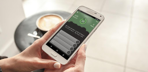 English Phrasal Verbs Quiz