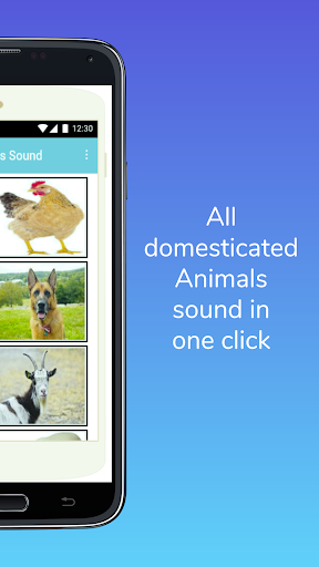 Domestic Animals Sound Screen 2