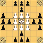 Tafl: viking chess