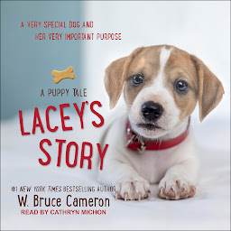 Symbolbild für Lacey’s Story: A Puppy Tale