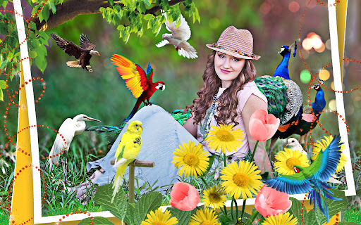Android application Bird photo video maker song screenshort