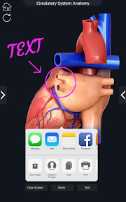 Circulatory System Anatomy screenshot