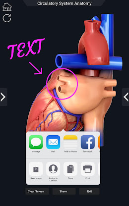 Circulatory System Anatomy screenshot 6