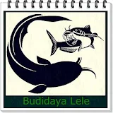 Budidaya Lele icon