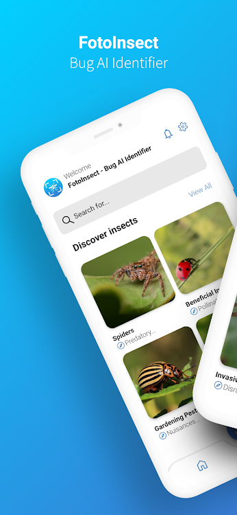 FotoInsect - Bug AI Identifier - 0.1.0.8. - (Android)