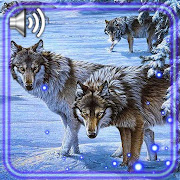 Winter Wolves HD