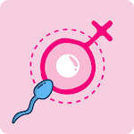 Cover Image of Download Ovulation Calculator & Tracker  APK