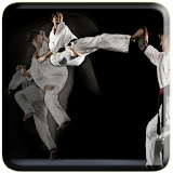 Taekwondo Technique icon