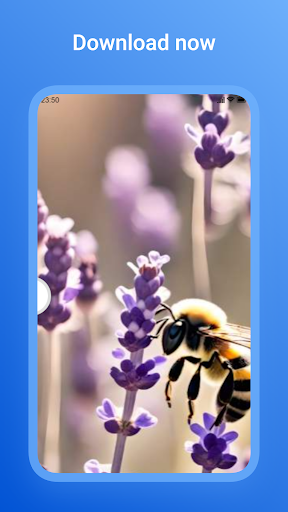 Flowers Blossom Wallpaper HD