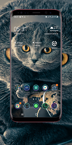 Android application Cute Cat Wallpaper screenshort