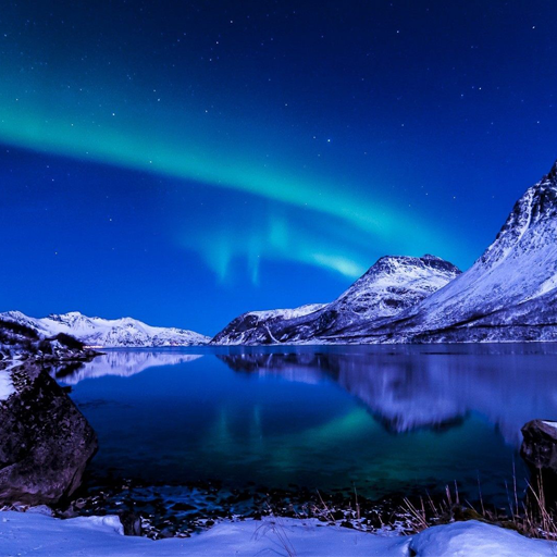 Northern Lights Live Wallpaper  Icon