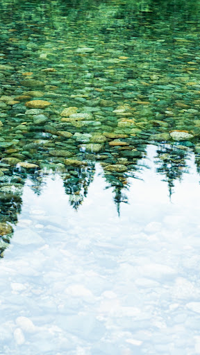 Pond Wallpaper Screen 2