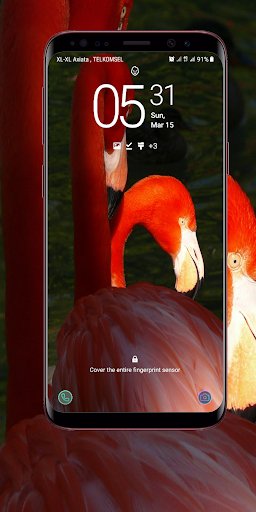 Android application Flamingo Wallpaper screenshort
