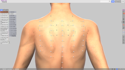 Master Tung`s Acupoint Anatomy Screen 2