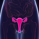Global Vagina Health icon