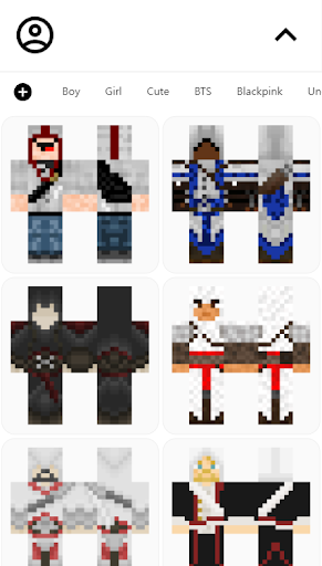 Assassins Creed Skin