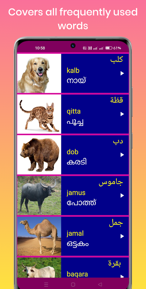#5. Learn Arabic From Malayalam (Android) By: Devi Studios
