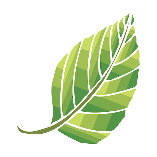 Tintorería Bosques logo