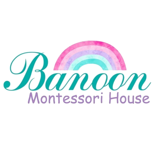 Banoon academy logo