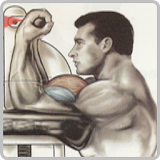 Bodybuilding Tips Videos icon