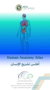 KFU Human Anatomy Atlas