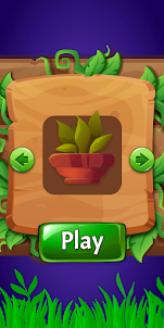 Plant on Hand