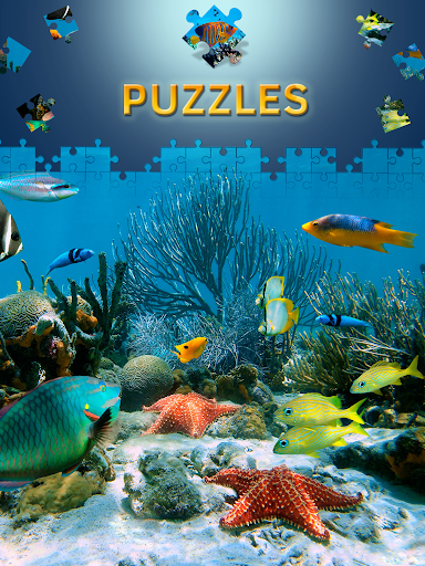 Android application Free Dolphin Jigsaw Puzzles screenshort
