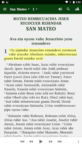 Android application Guarayu Bible screenshort