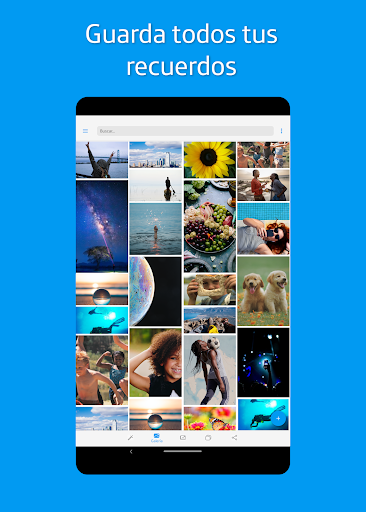 Logo https://play-lh.googleusercontent.com/UthH6DNMmrdb0vXugxytrefykrzilFxcBAthCIpf3892Td7mVgHFaMazARBW_G4y4QA